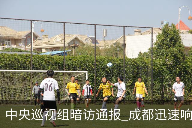 中央巡视组暗访通报 成都迅速响应立案拟顶格处罚