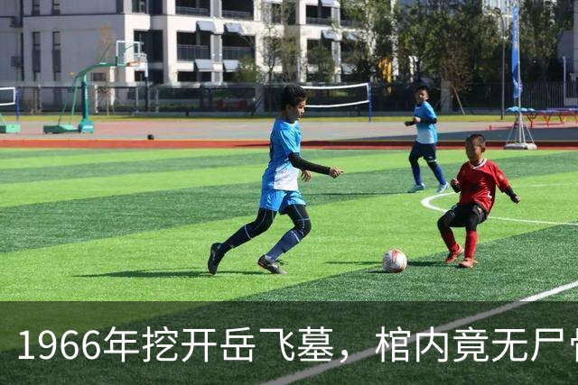 1966年挖开岳飞墓，棺内竟无尸骨，只有一个陶罐，八百年前那个狱卒的秘密，终于被揭开了